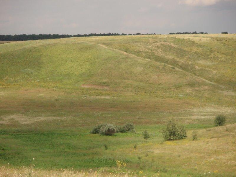 Черняхів з panoramio.com - Черняхів