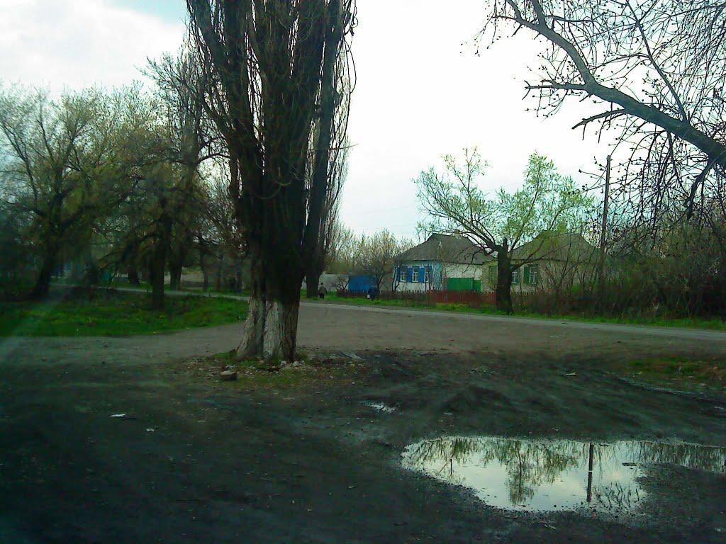 Чорнухине з panoramio.com - Чорнухине