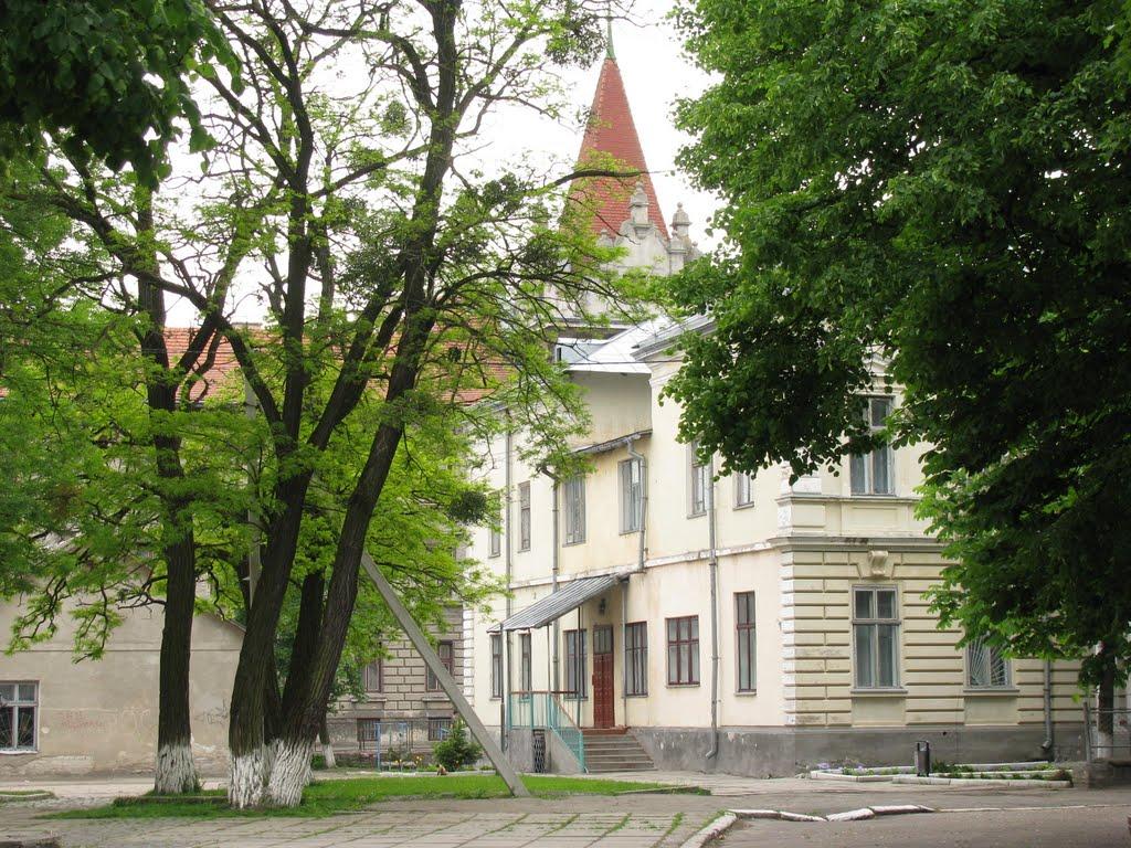 Броди з panoramio.com - Броди