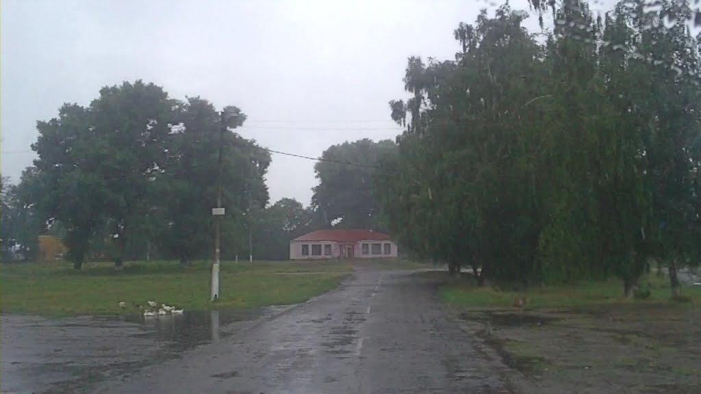 Лозовий Яр з panoramio.com - Лозовий Яр