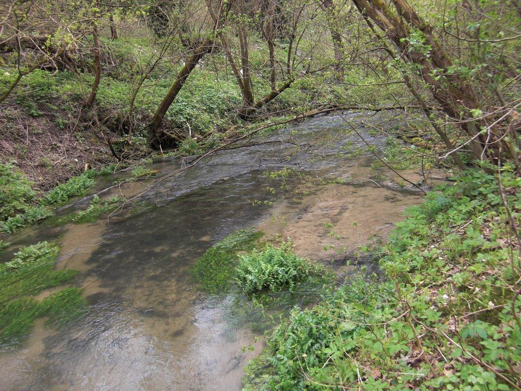 Миролюбівка з panoramio.com - Миролюбівка