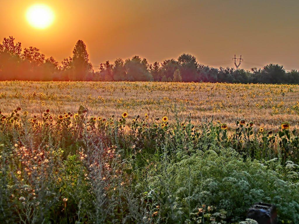 Головківське з panoramio.com - Головківське