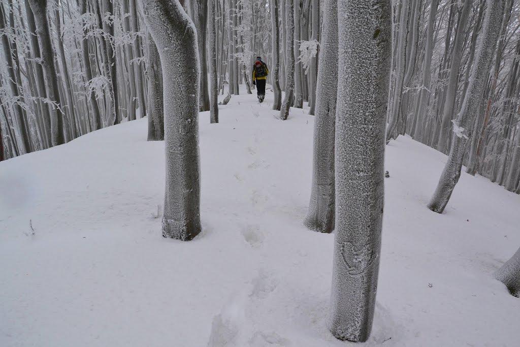 Вишка з panoramio.com - Вышка