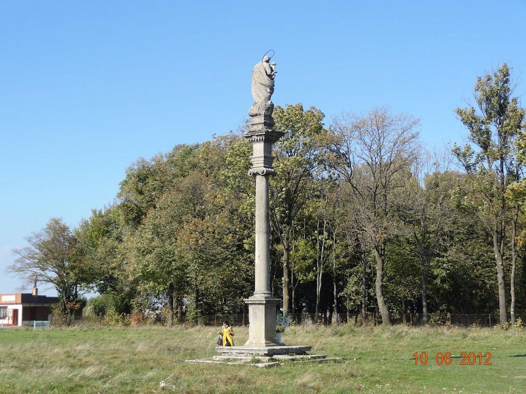 Підгірці з panoramio.com - Подгорцы