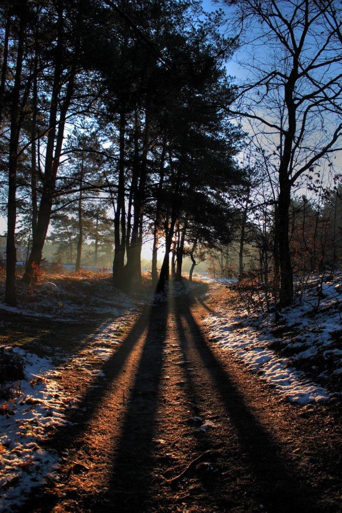 Брюховичі з panoramio.com - Брюховичи