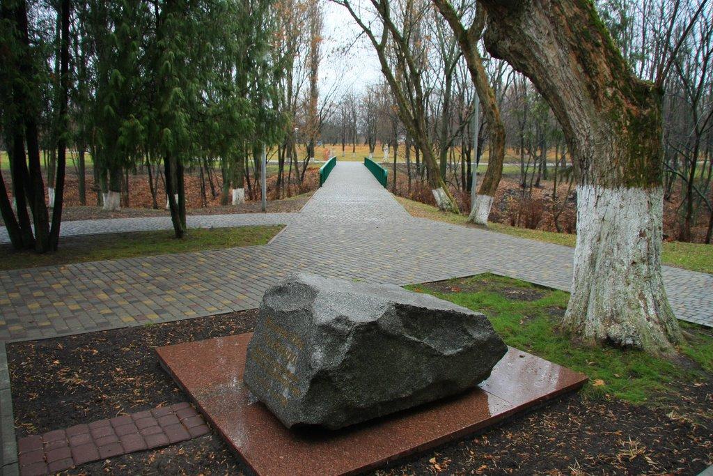 Сковородинівка з panoramio.com - Сковородинівка