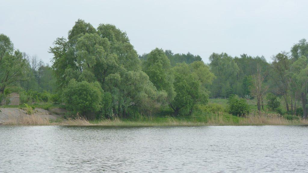 Гавронщина з panoramio.com - Гавронщина