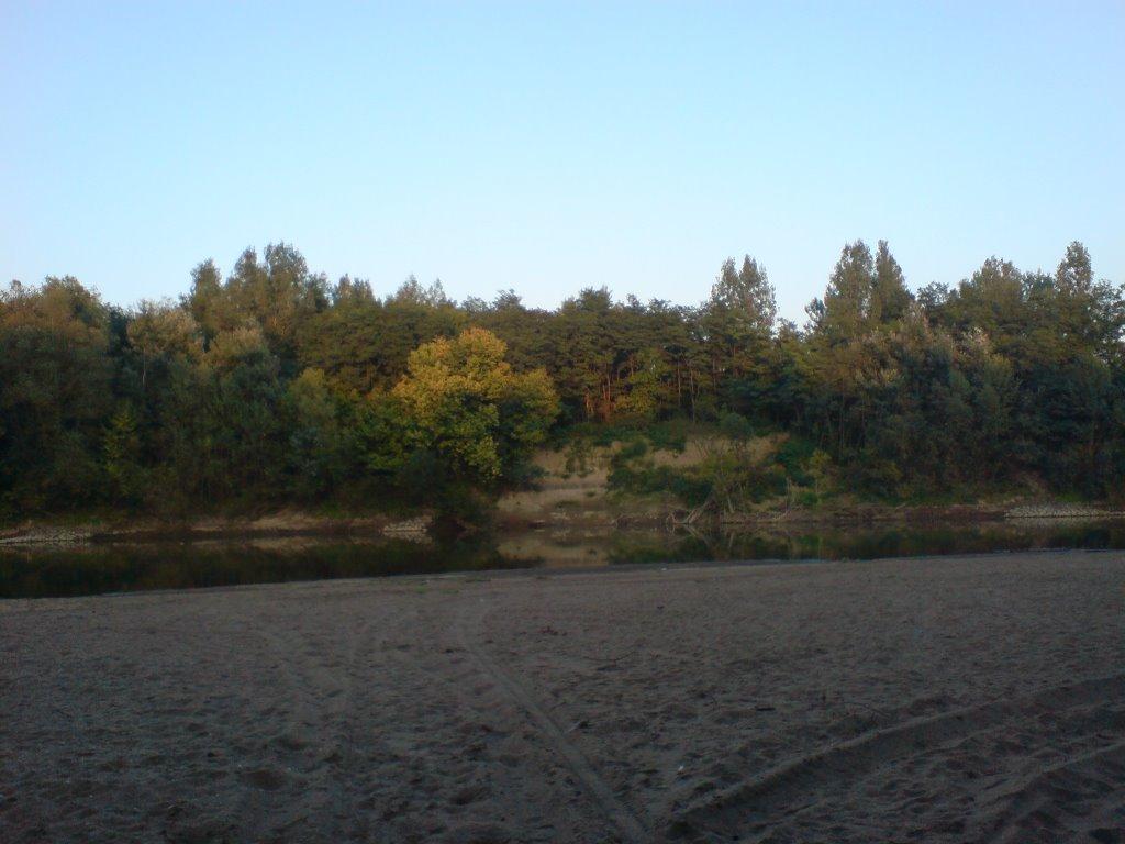 Чома з panoramio.com - Чома