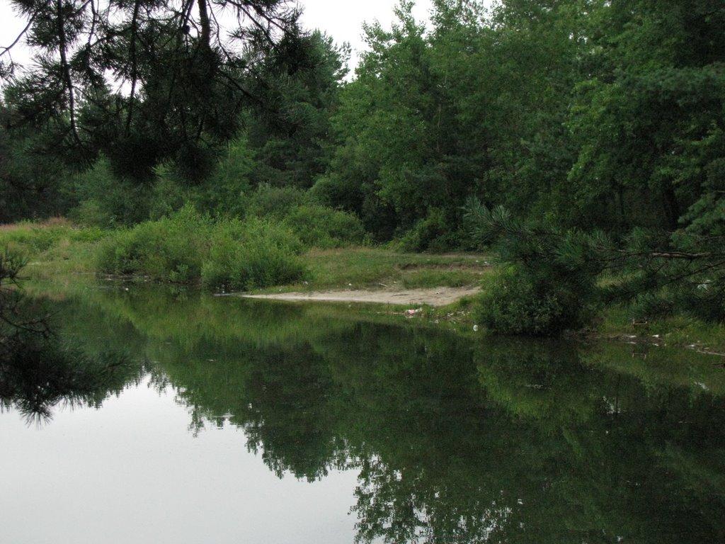 Брюховичі з panoramio.com - Брюховичи