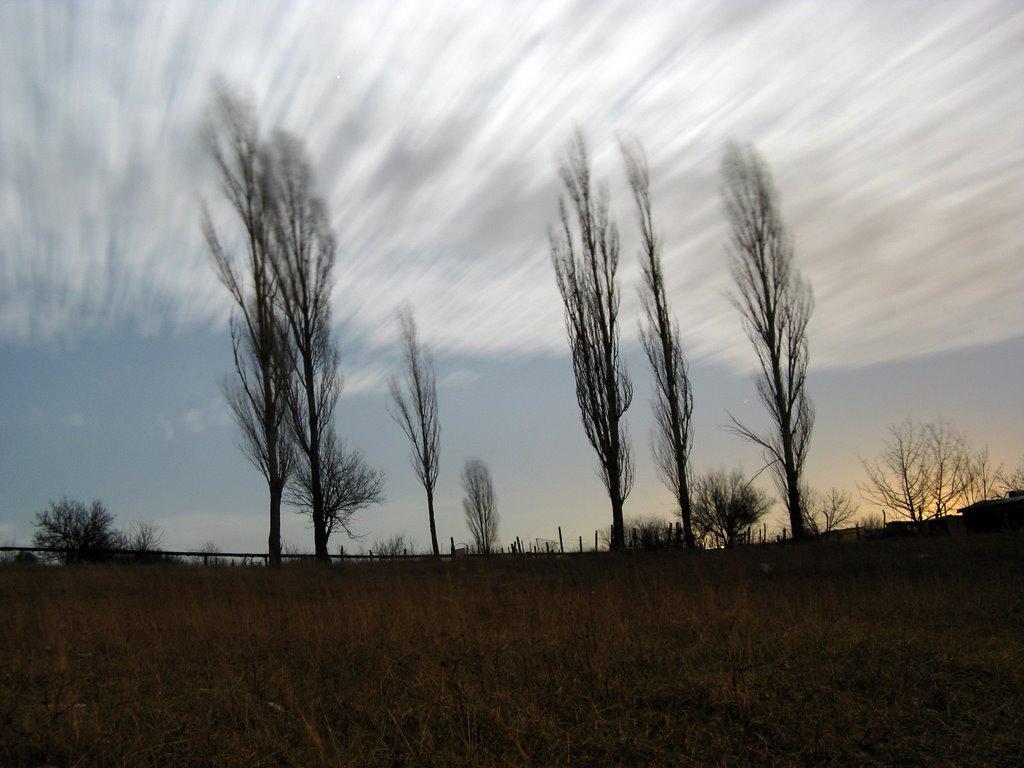 Шкільне з panoramio.com - Школьное