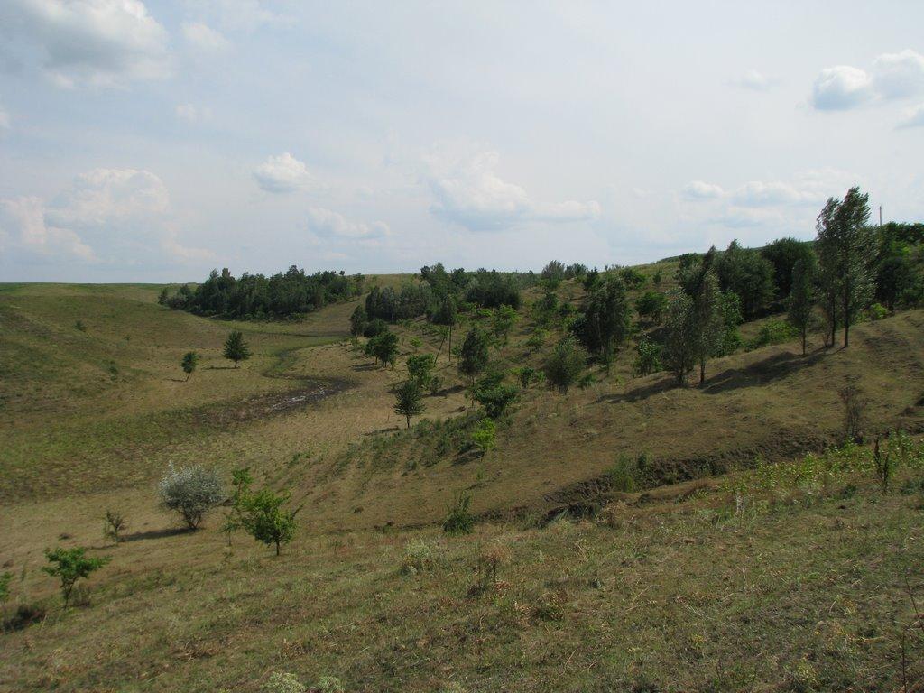 Черняхів з panoramio.com - Черняхів