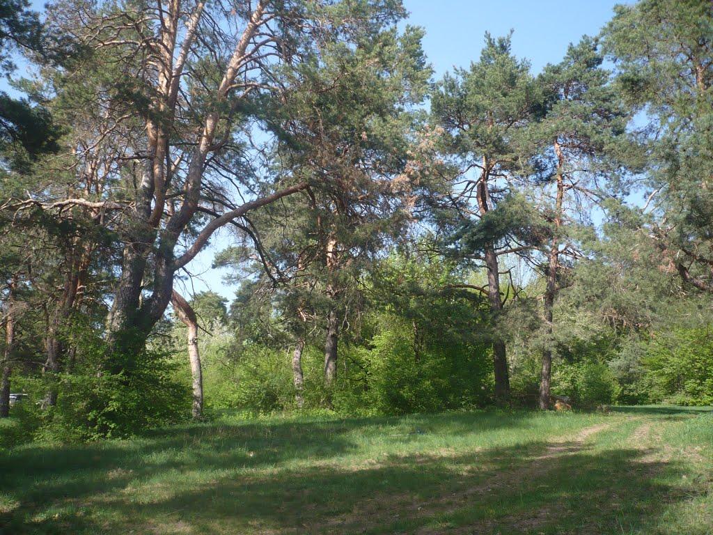 Тиврів з panoramio.com - Тиврів