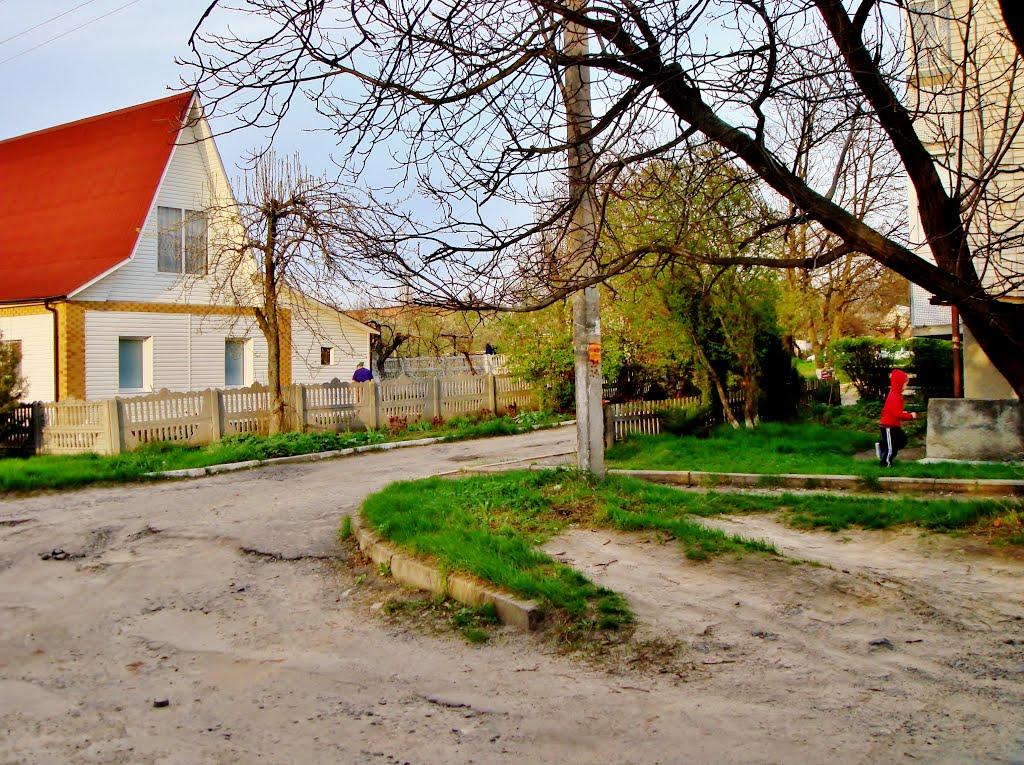 Гудзівка з panoramio.com - Гудзовка