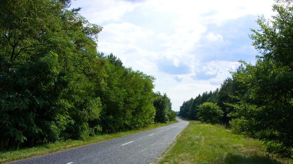 Приліпка з panoramio.com - Приліпка