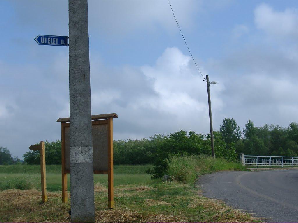 Велика Паладь з panoramio.com - Великая Паладь