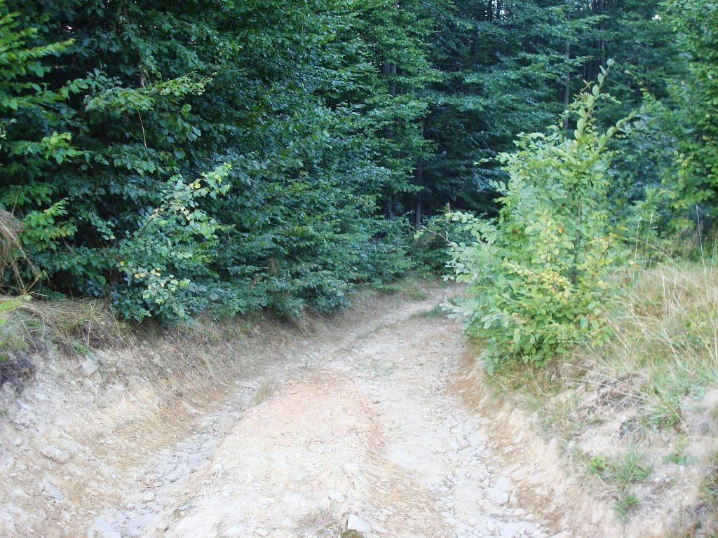 Красна з panoramio.com - Красна