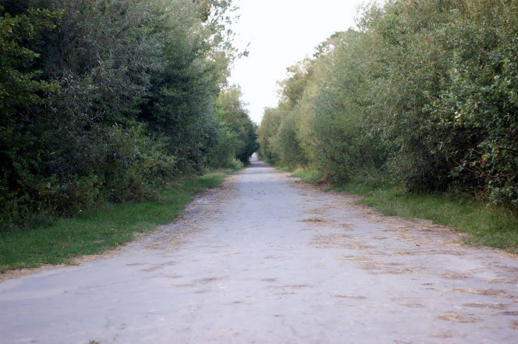 Федорівка з panoramio.com - Федорівка