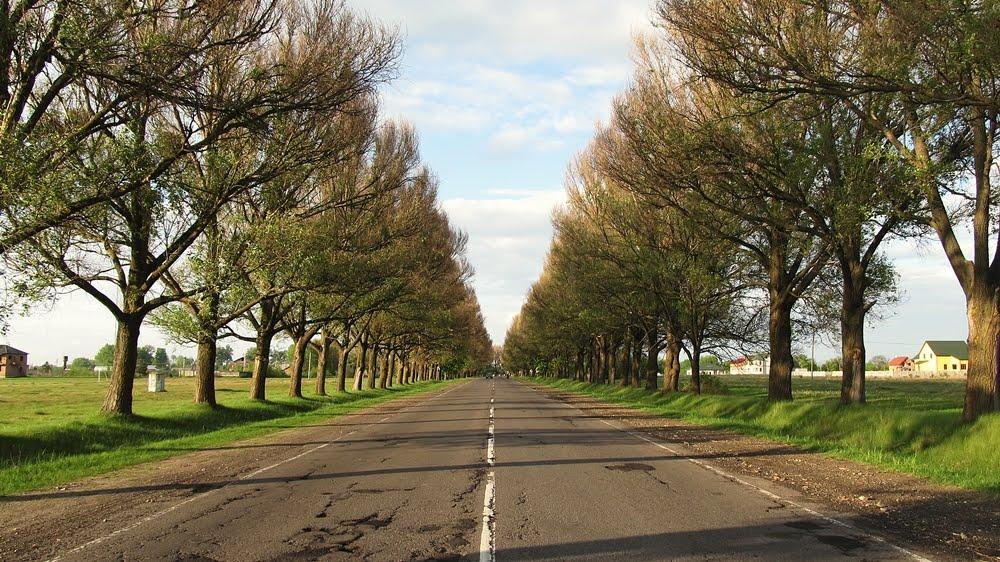 Туринка з panoramio.com - Туринка