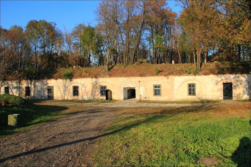 Циків з panoramio.com - Цыков