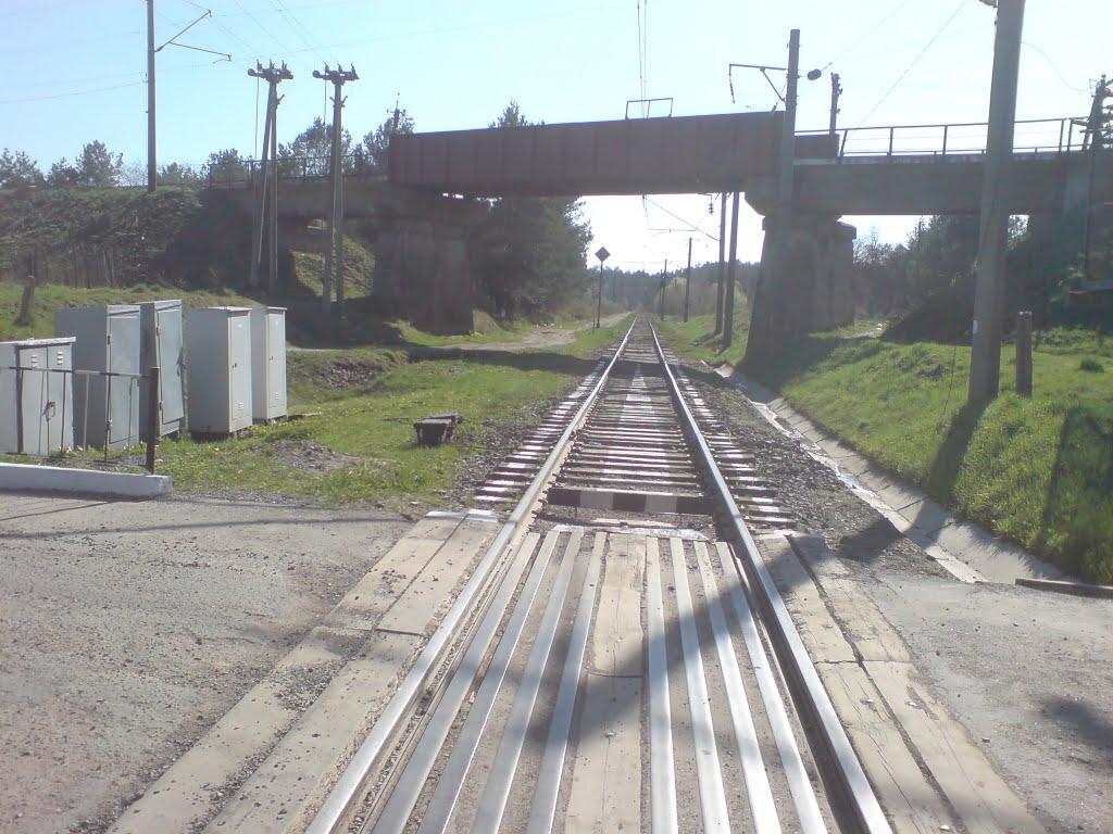 Брюховичі з panoramio.com - Брюховичи