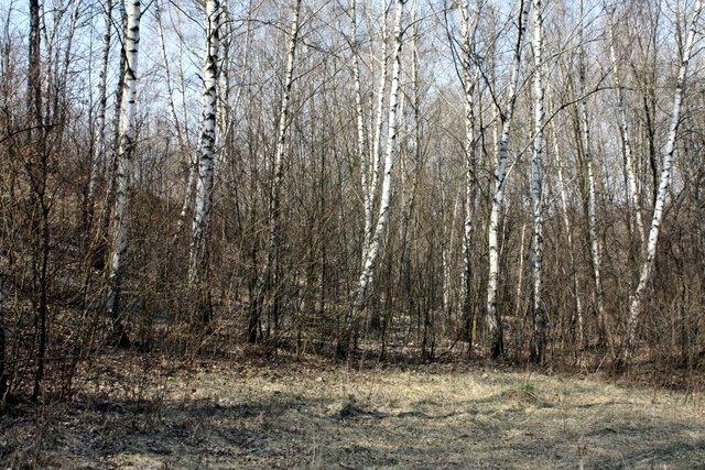 Балико-Щучинка з panoramio.com - Балико-Щучинка