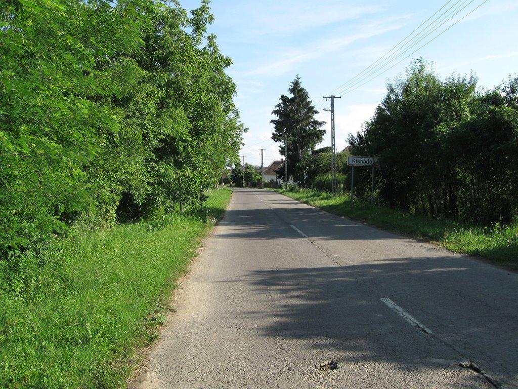 Велика Паладь з panoramio.com - Великая Паладь