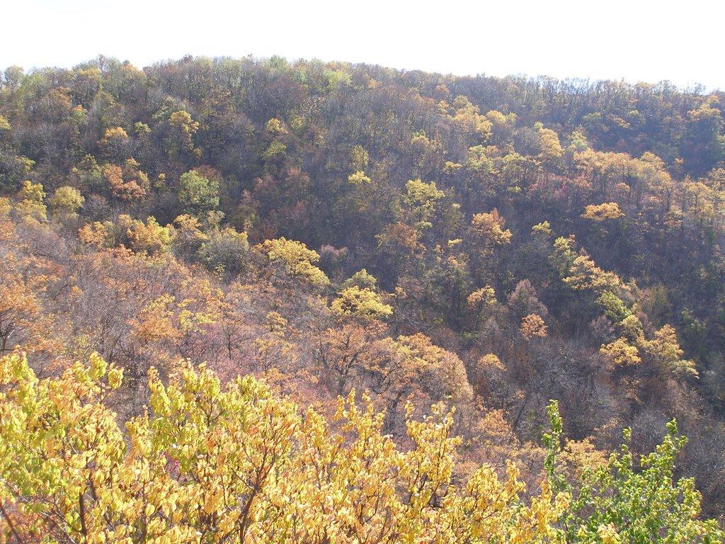 Тетянівка з panoramio.com (ч.2) - Тетяновка