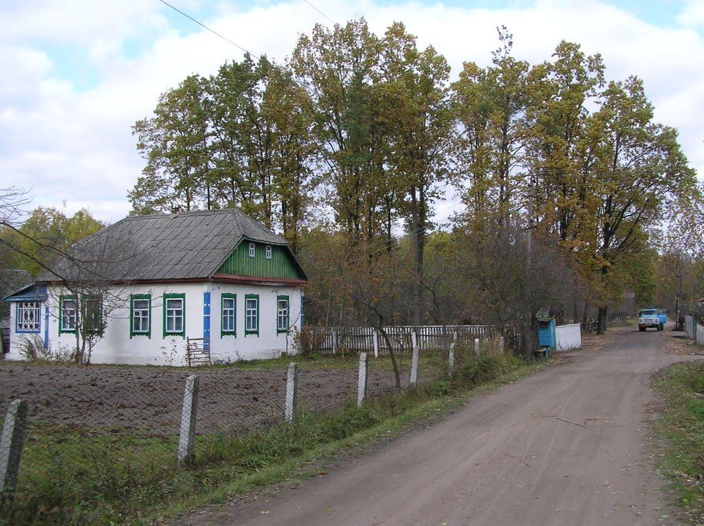 Горщик з panoramio.com - Горщик