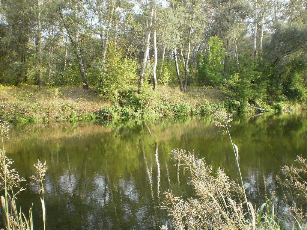 Завгороднє з panoramio.com - Завгороднее