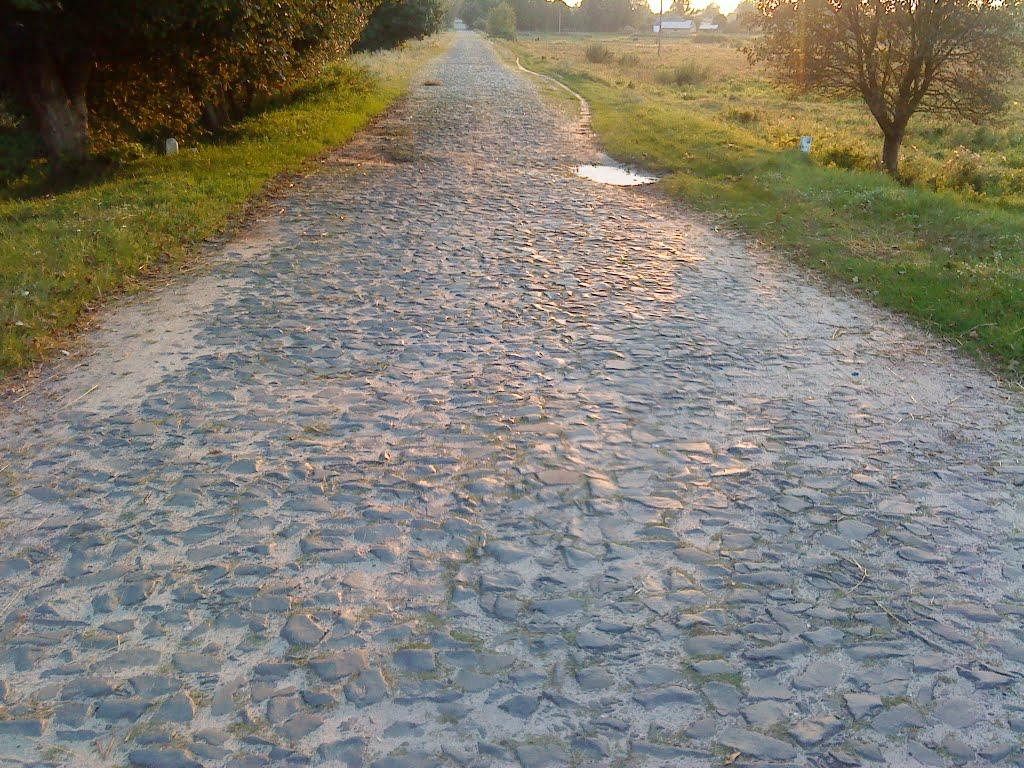 Велика Ведмежка з panoramio.com - Велика Ведмежка