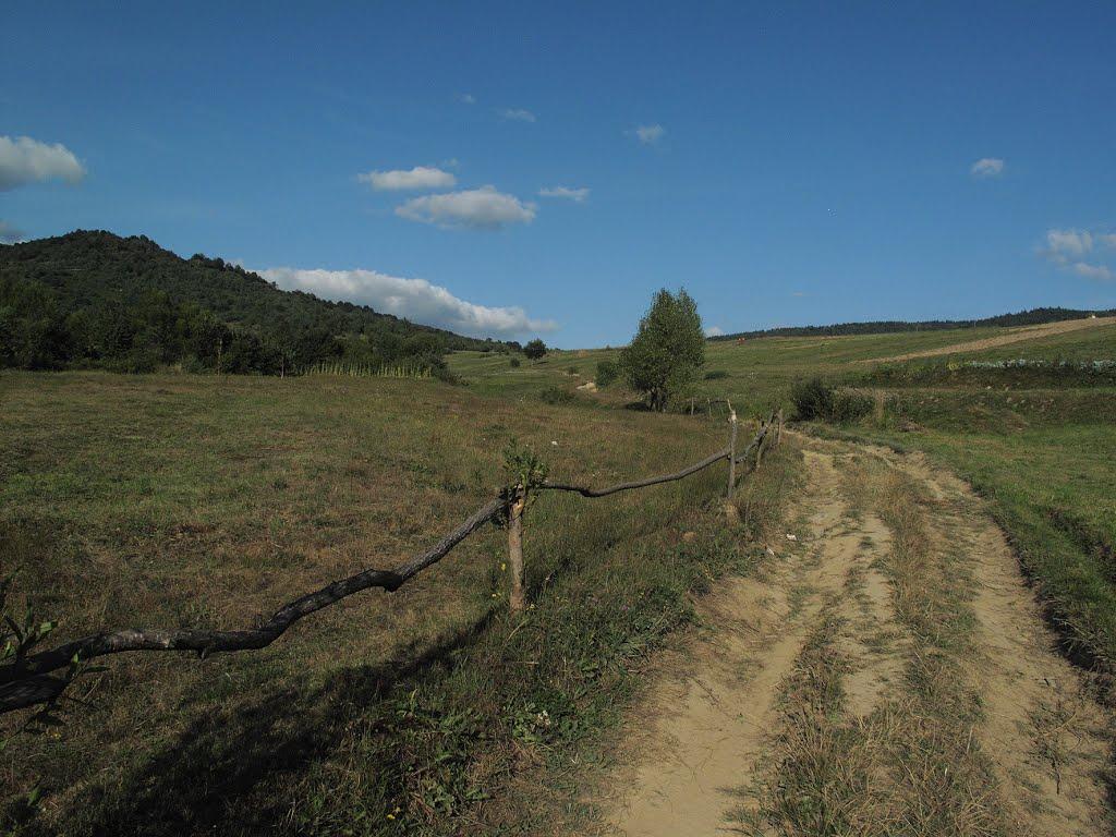 Люта з panoramio.com - Люта