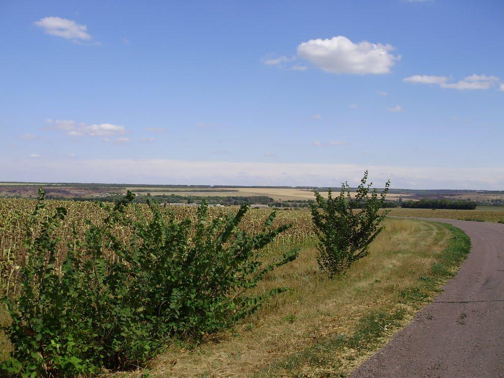 Демино-Олександрівка з panoramio.com - Демино-Олександрівка