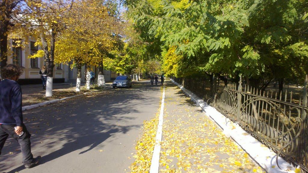 Ізмаїл з panoramio.com (ч.2) - Измаил