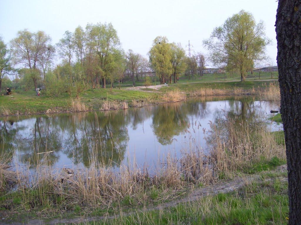 Коцюбинське з panoramio.com (ч.3) - Коцюбинское