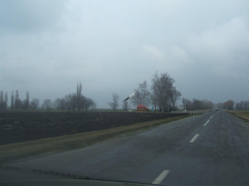 Радченки з panoramio.com - Радченки