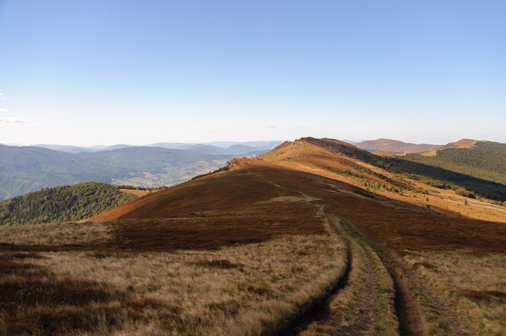 Пашківці з panoramio.com - Пашківці