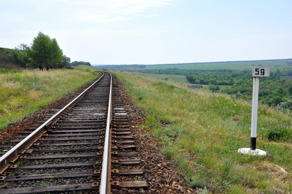 Донецький з panoramio.com - Донецький