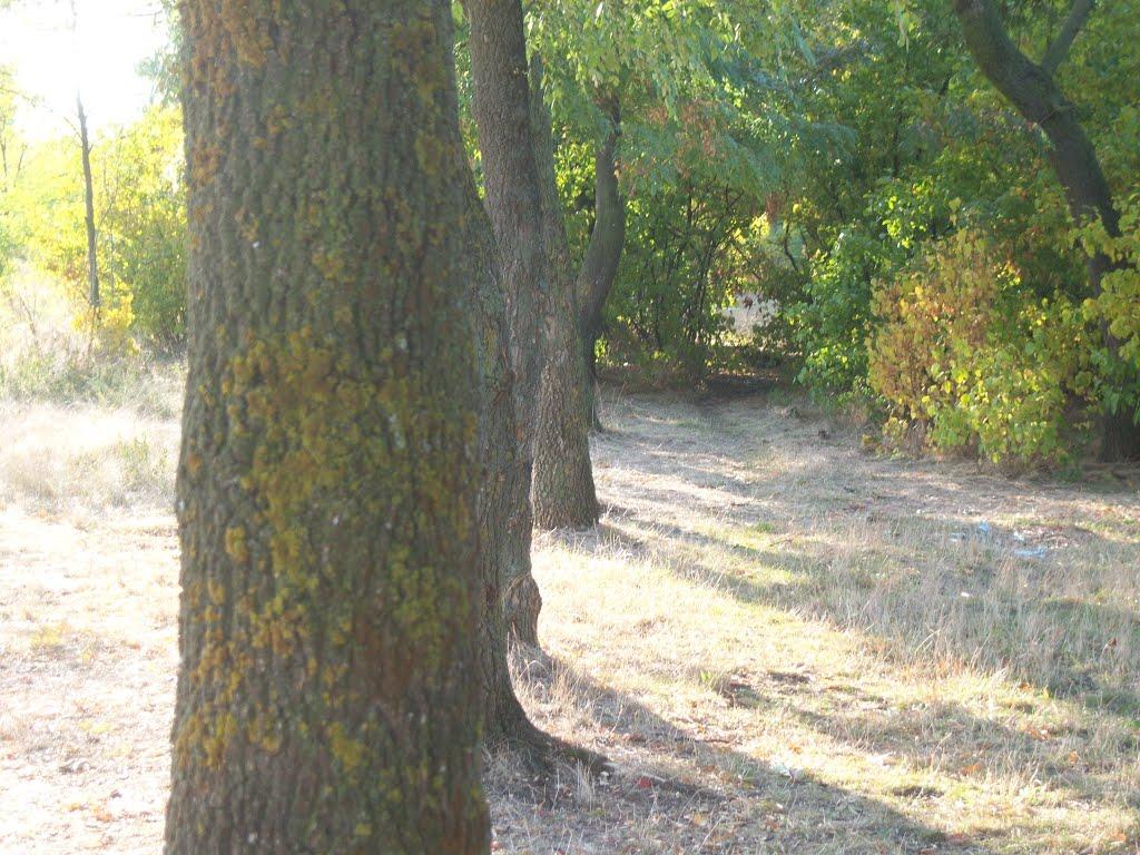 Олег з panoramio.com - Олег