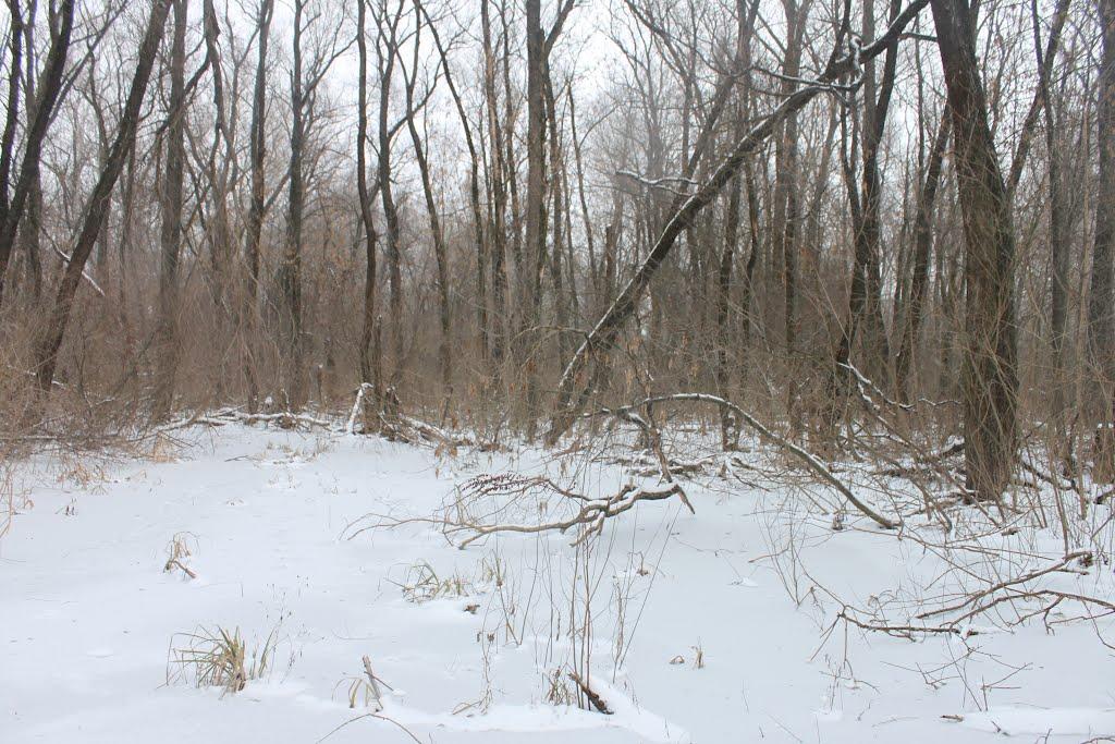 Кіровське з panoramio.com (ч.3) - Обуховка