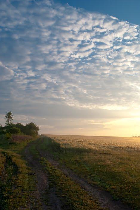 Іванівці з panoramio.com - Ivanivtsi