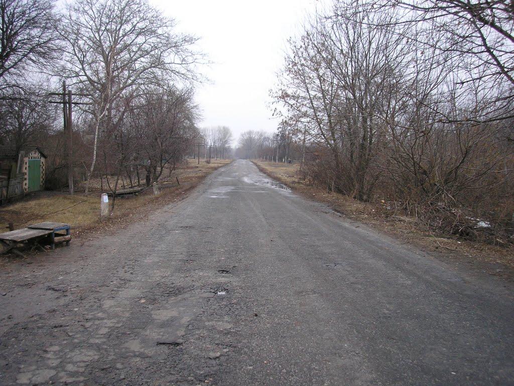 Новий Тагамлик з panoramio.com - Новий Тагамлик