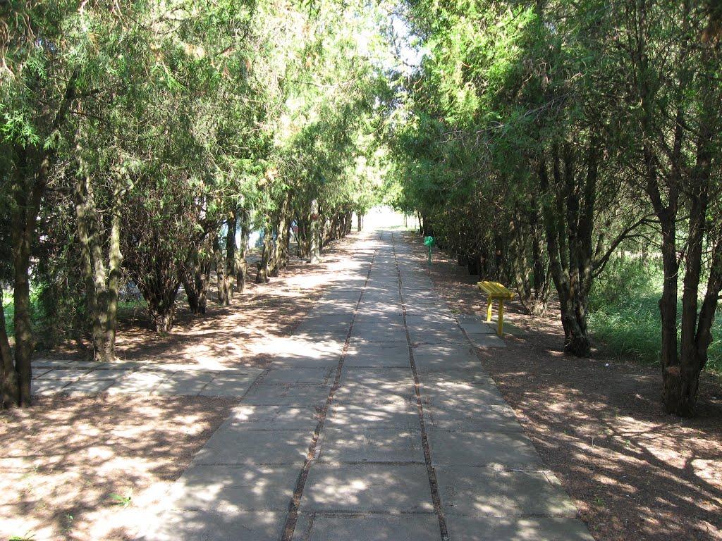 Хорли з panoramio.com - Хорли