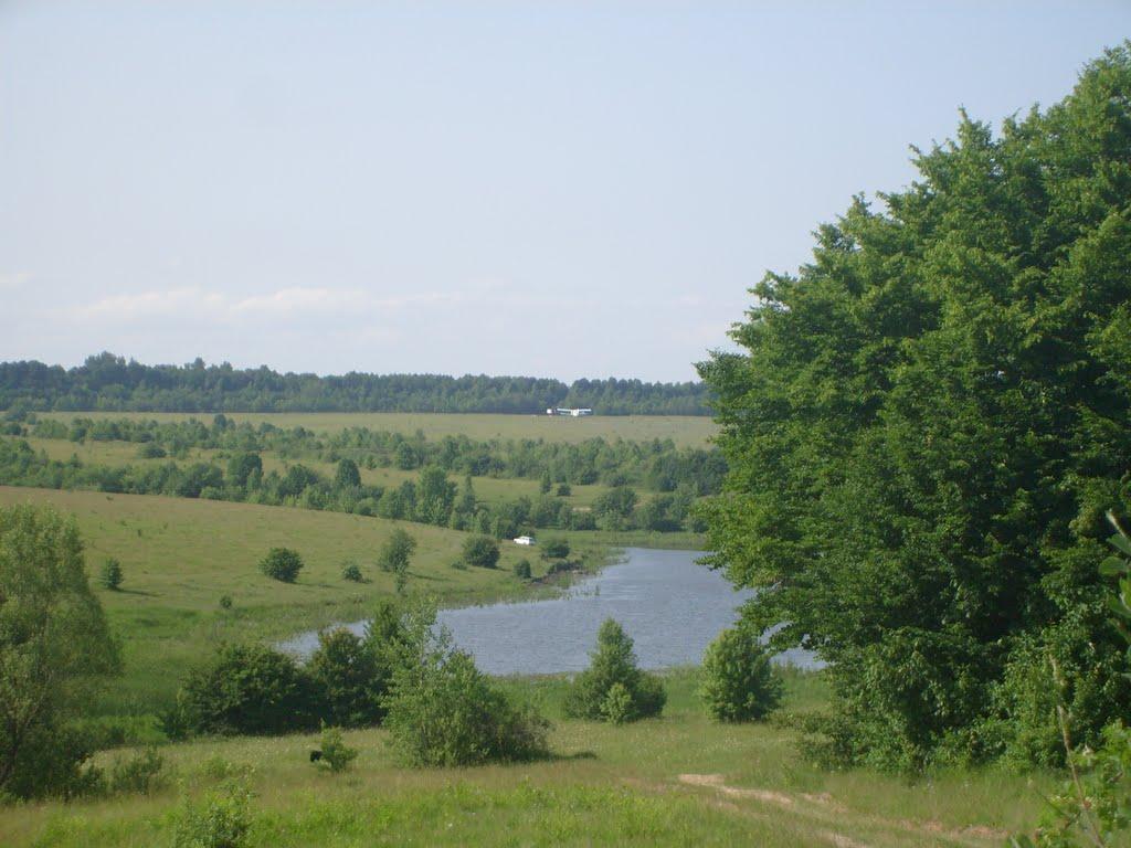 Браїлів з panoramio.com - Brayiliv