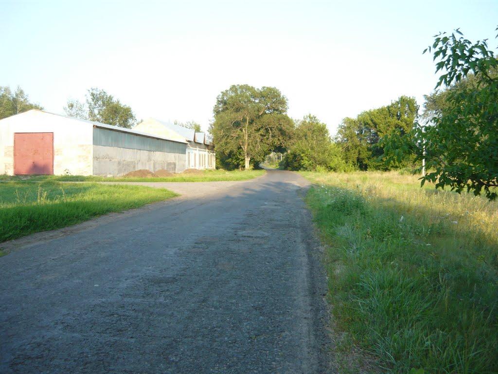 Заворскло з panoramio.com - Заворскло