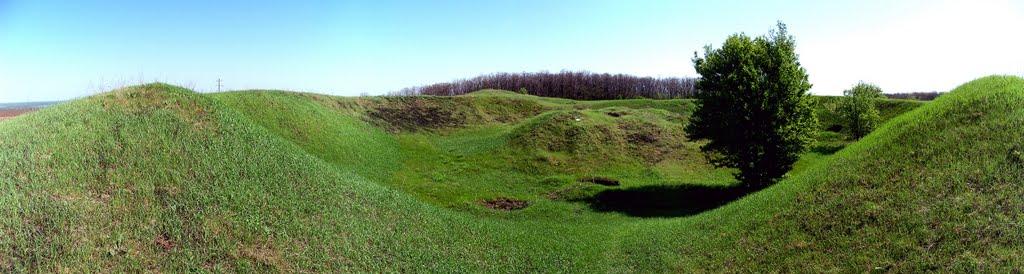 Царичанка з panoramio.com - Царичанка