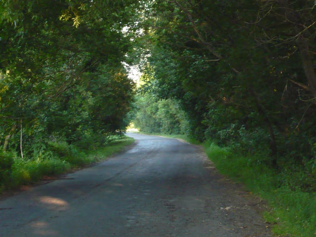 Заворскло з panoramio.com - Заворскло