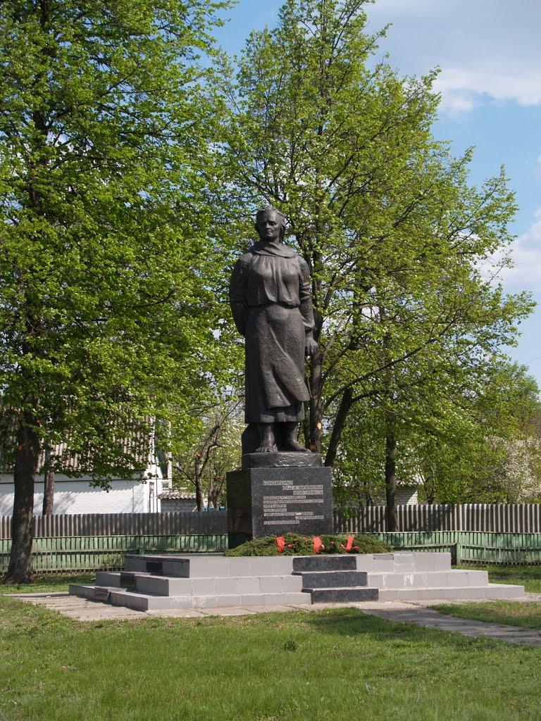 Великі Сорочинці з panoramio.com - Великие Сорочинцы