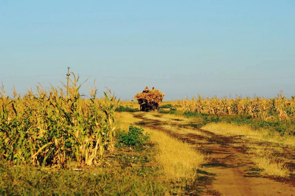 Біла Криниця з panoramio.com - Біла Криниця