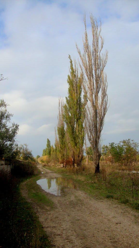 Укромне з panoramio.com - Ukromne