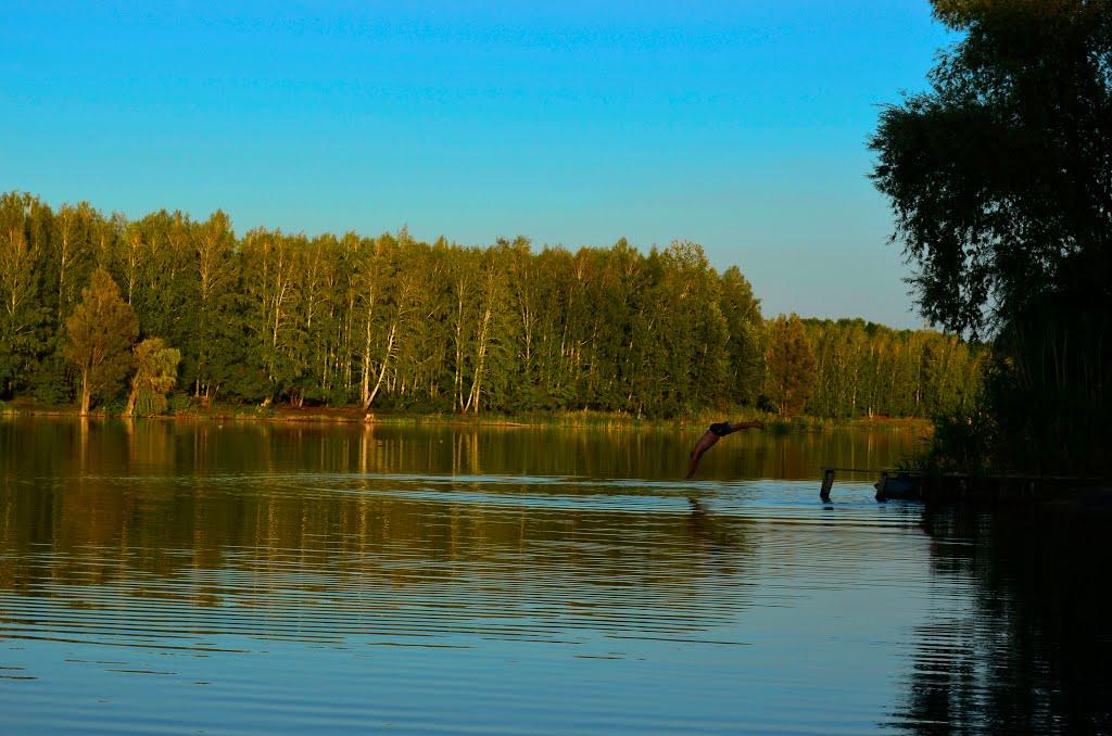 Дорофіївка з panoramio.com - Дорофеевка